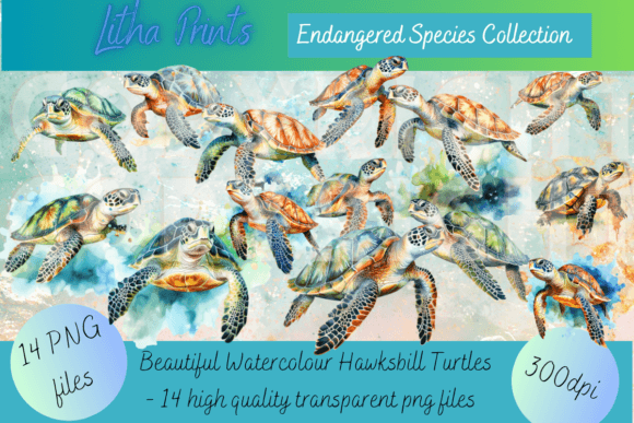 Watercolour Hawksbill Turtles: Art That Supports Conservation